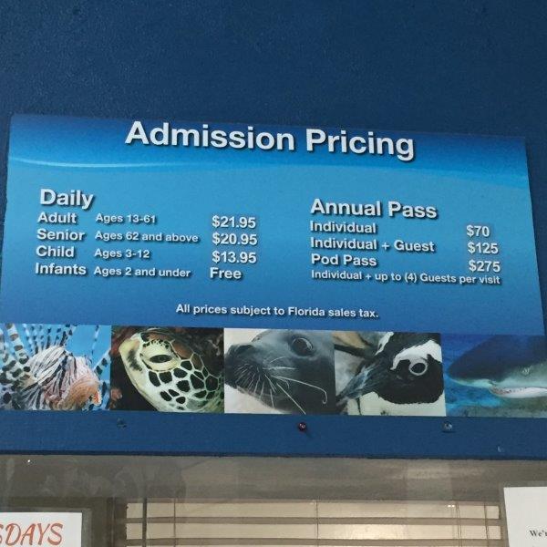 Gulfarium Marine Adventure Park • Coastal Vibe Vacations