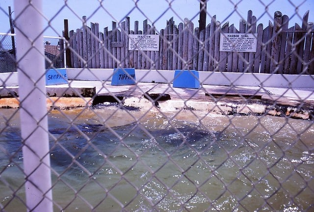 gator tours destin fl